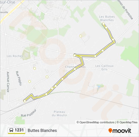 1231 Route: Schedules, Stops & Maps - Buttes Blanches (Updated)