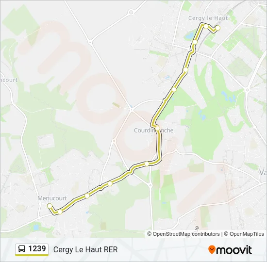 1239 Bus Line Map