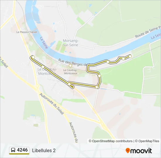 4246 Bus Line Map