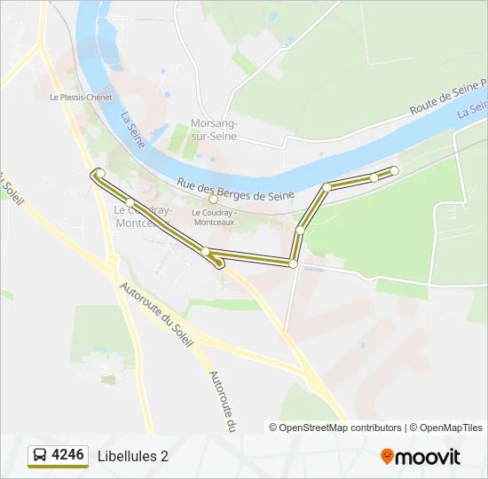 4246 Bus Line Map