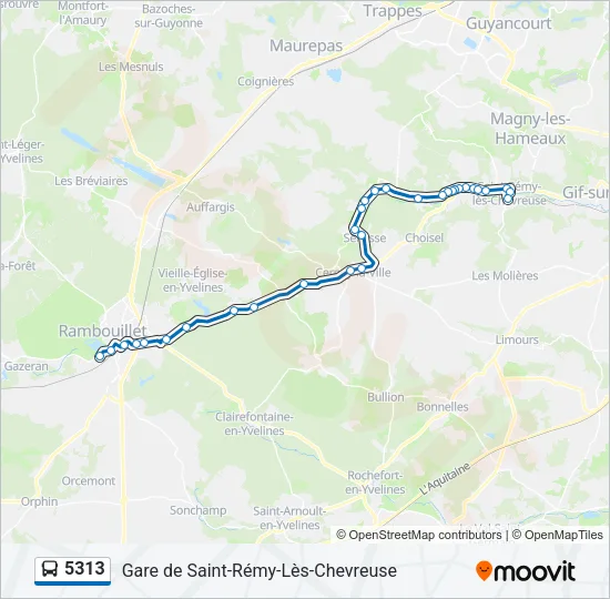 5313 Bus Line Map