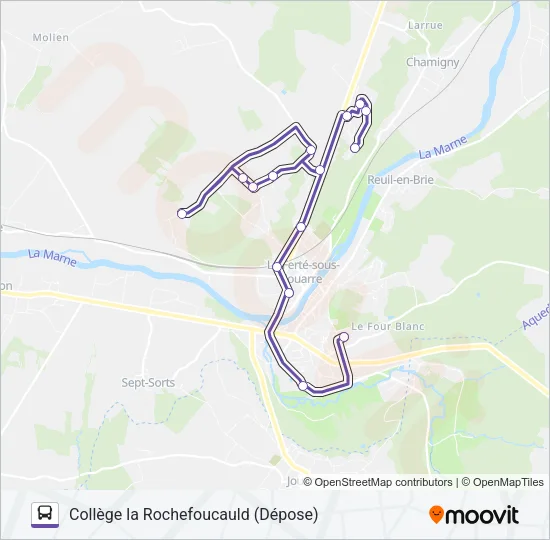 31S(2481) Bus Line Map