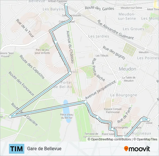 TIM Bus Line Map