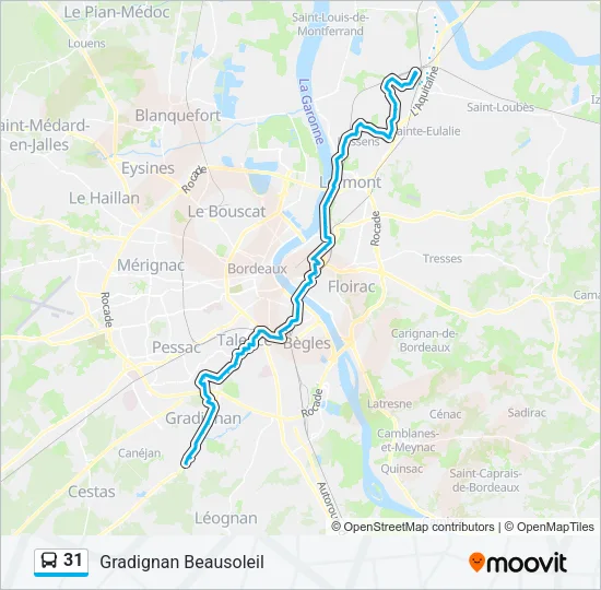 31 Bus Line Map