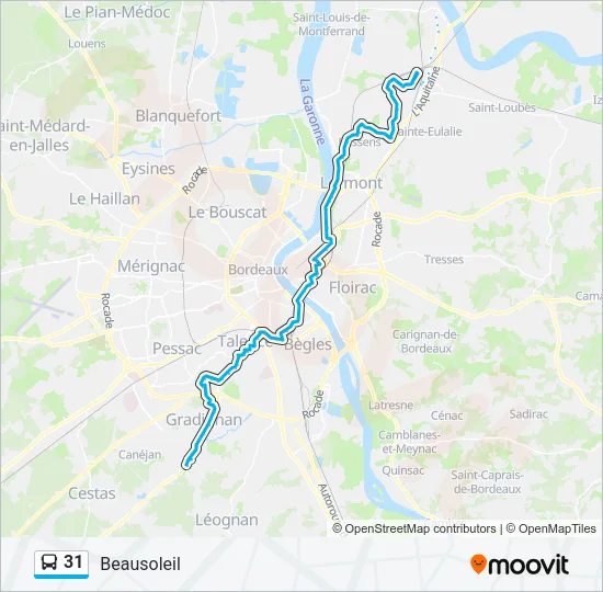 31 Bus Line Map