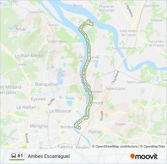 61 Bus Line Map