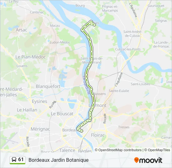 61 Bus Line Map