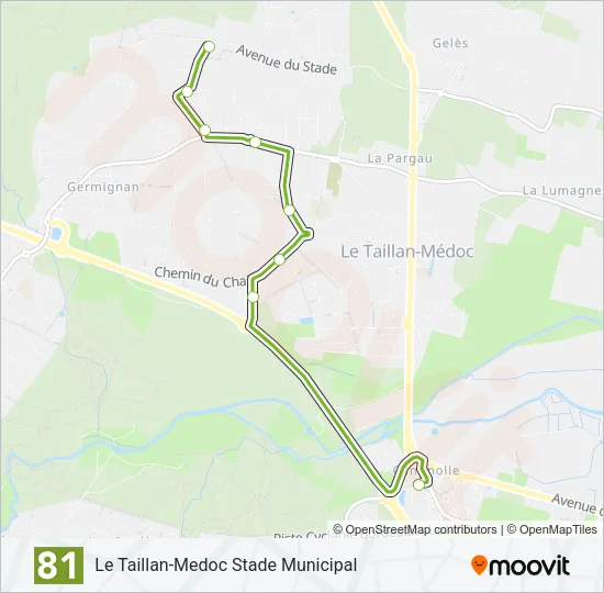 81 Bus Line Map