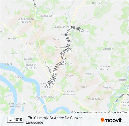 4310 Bus Line Map