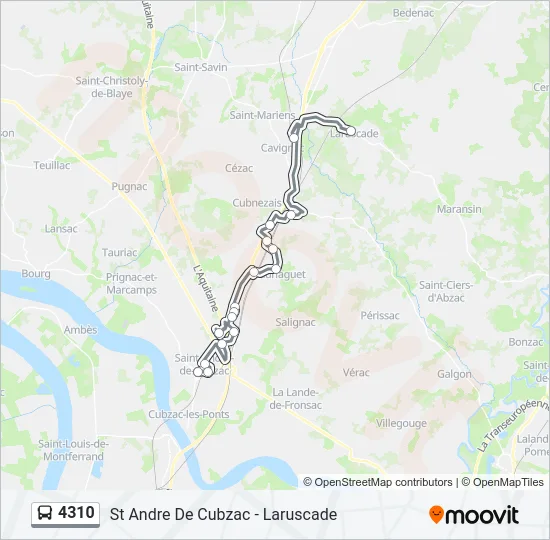 4310 Bus Line Map