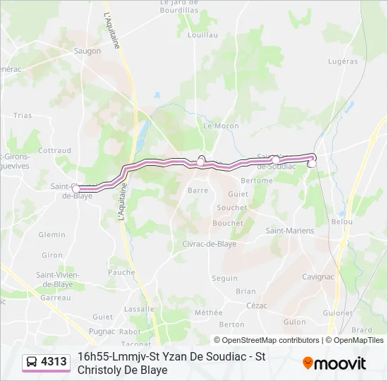 4313 Bus Line Map