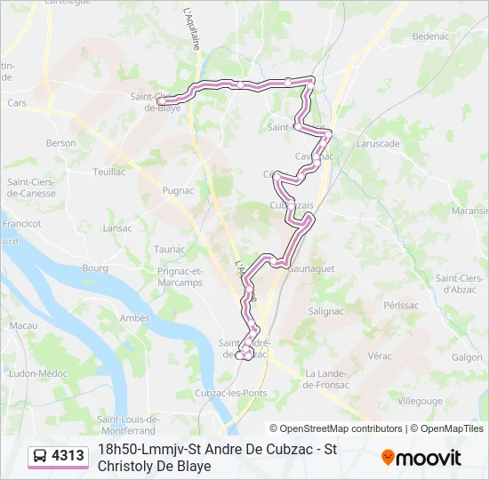 4313 Bus Line Map