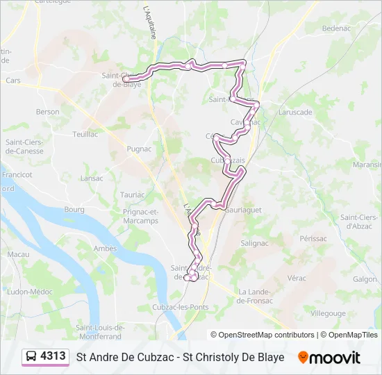 4313 Bus Line Map