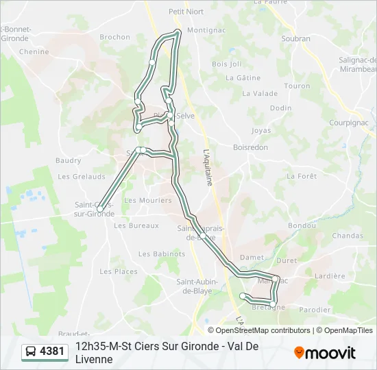 4381 Bus Line Map
