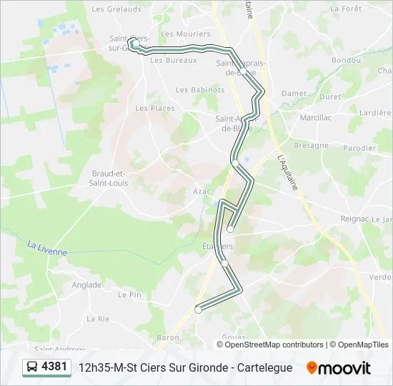 4381 Bus Line Map