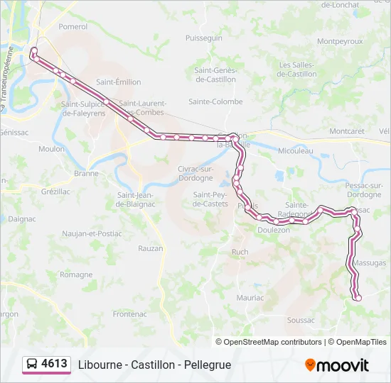 4613 Bus Line Map