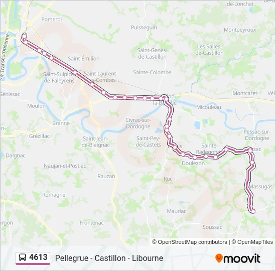 4613 Bus Line Map