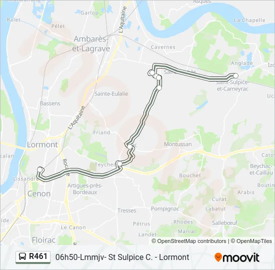R461 Bus Line Map