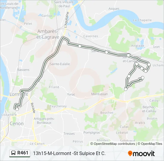 R461 Bus Line Map