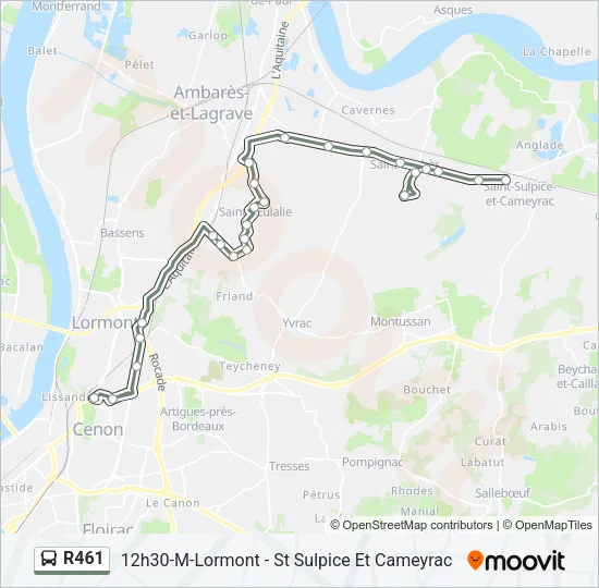 R461 Bus Line Map