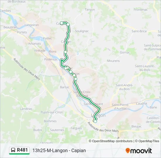 R481 Bus Line Map