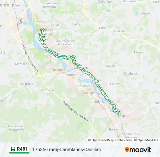 R481 Bus Line Map