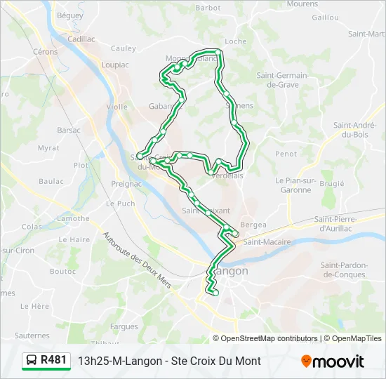 R481 Bus Line Map