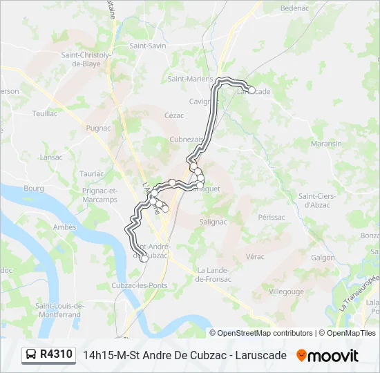 R4310 Bus Line Map