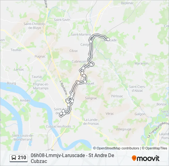 210 Bus Line Map