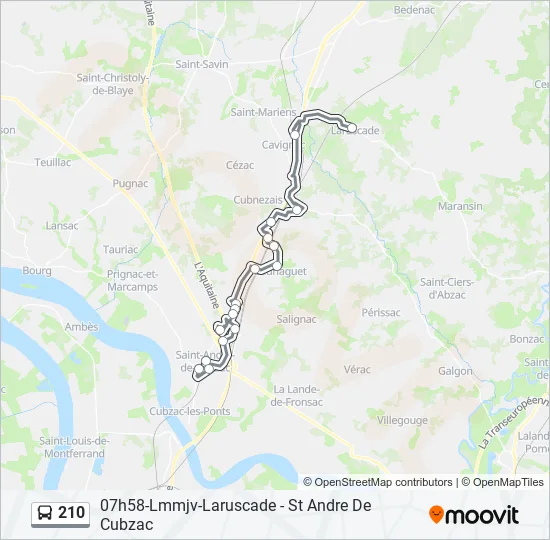 210 Bus Line Map