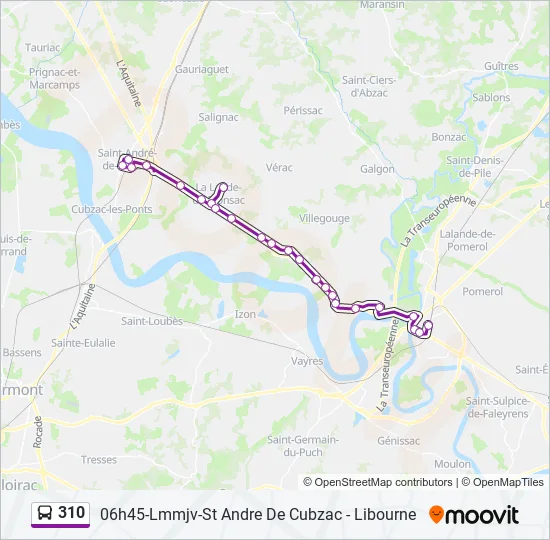 310 Bus Line Map