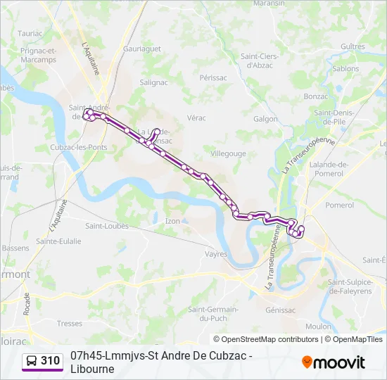 310 Bus Line Map