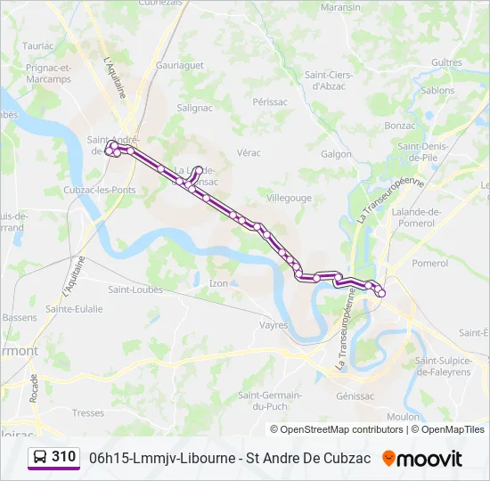 310 Bus Line Map