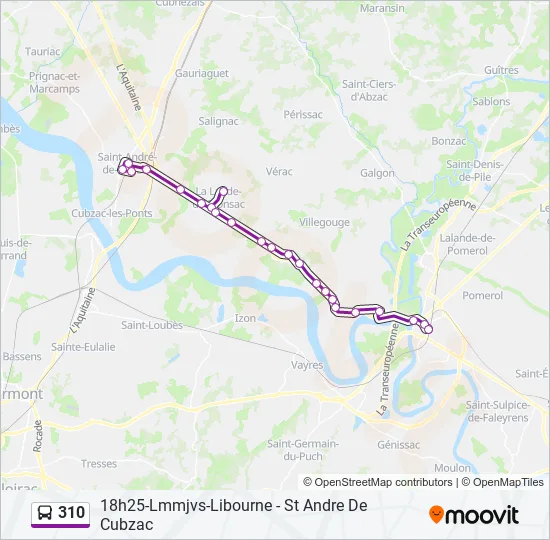 310 Bus Line Map