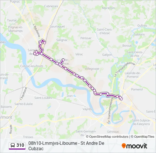 310 Bus Line Map