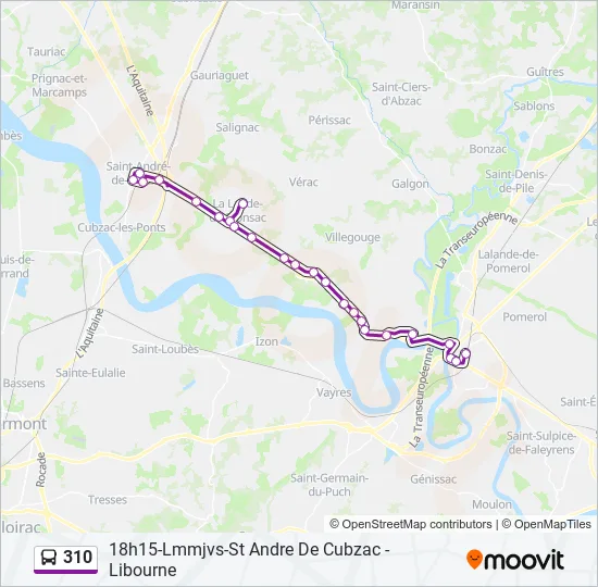 310 Bus Line Map