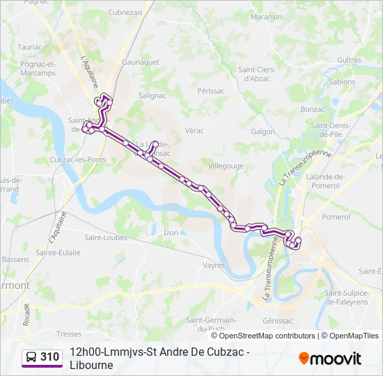 310 Bus Line Map