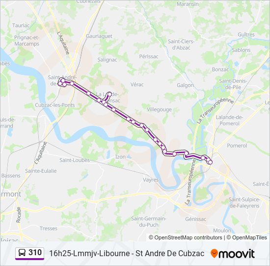 Plan de la ligne 310 de bus