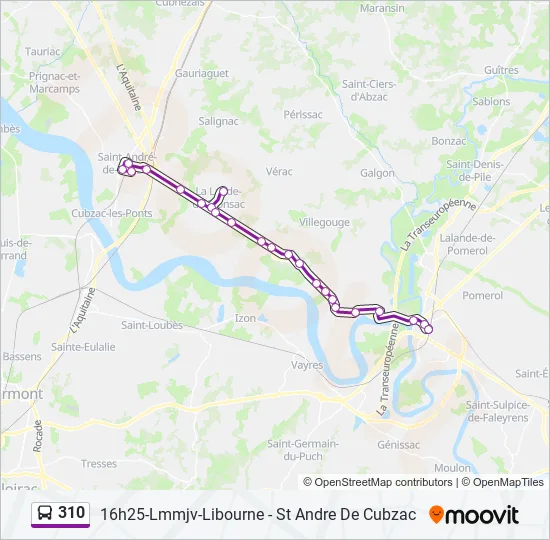 310 Bus Line Map