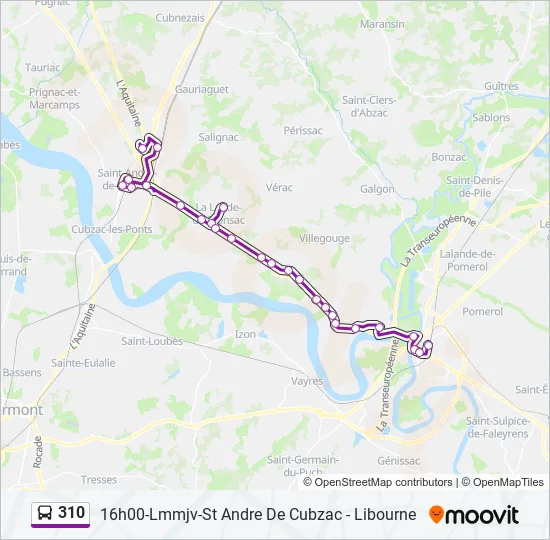 310 Bus Line Map
