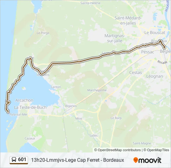 601 Bus Line Map