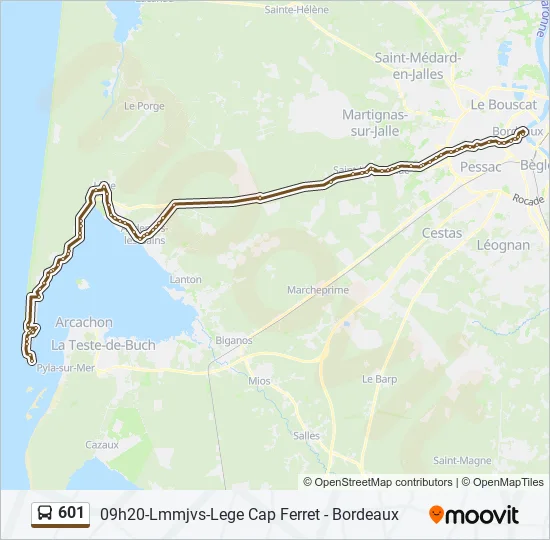 601 Bus Line Map