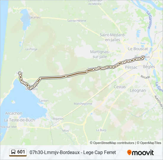 601 Bus Line Map
