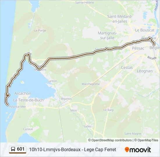 601 Bus Line Map