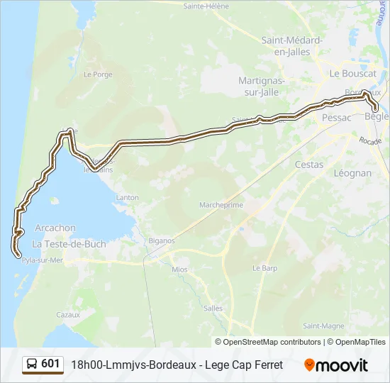 601 Bus Line Map