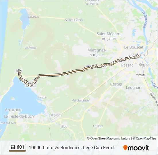 601 Bus Line Map