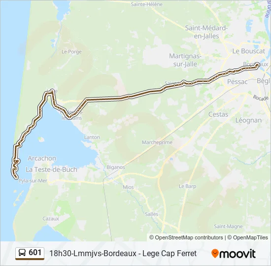 601 Bus Line Map