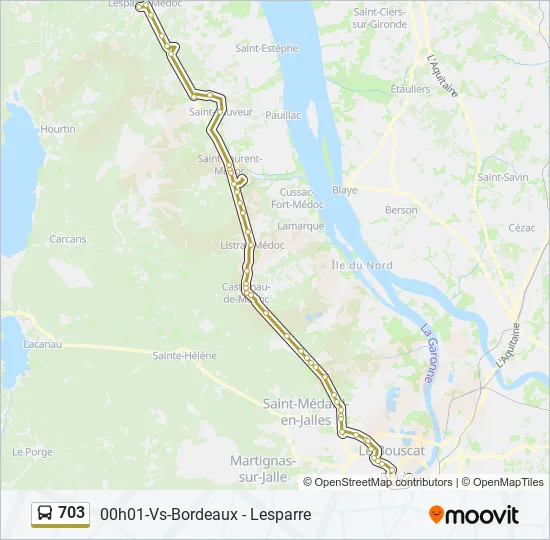 703 Bus Line Map