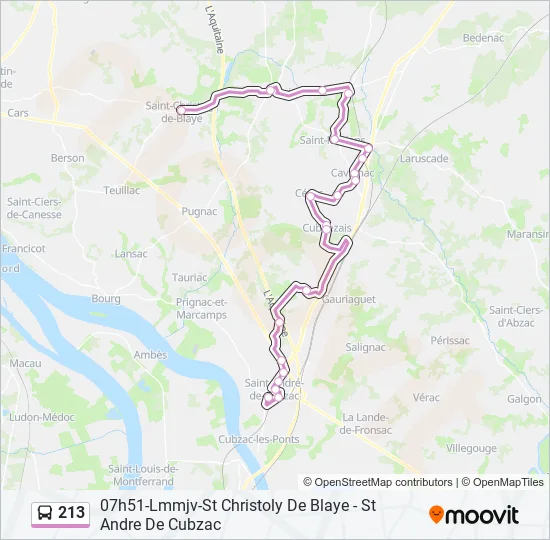 213 Bus Line Map