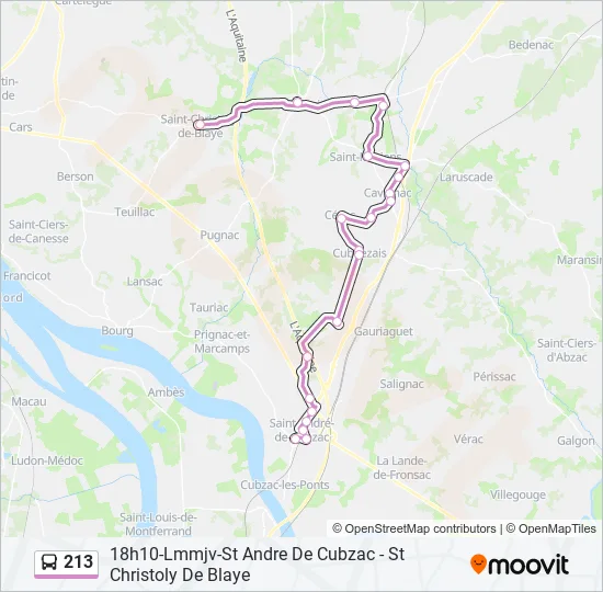 213 Bus Line Map
